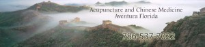 Acupuncture for Infertility in Aventura and North Miami Beach Florida