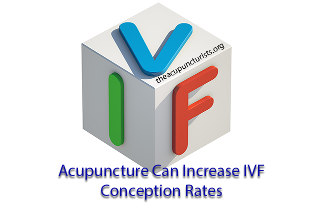 Acupuncture and IVF Support in South Florida