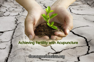 Acupuncture Fertility Specialist in South Florida, Robert J Herbst