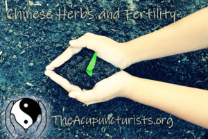 Chinese herbs for Infertility in Margate, Coral Springs and Coconut Creek Florida